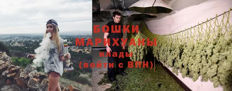 Бошки Шишки OG Kush  хочу   Кировск 